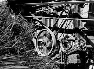 _dsc9311.jpeg