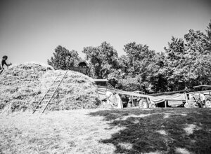 _dsc9059.jpeg