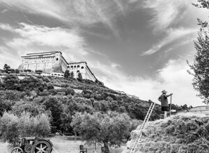 img_6912.jpeg