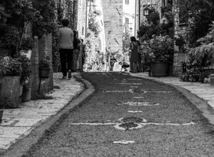 _dsc0579.jpeg