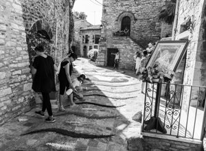 _dsc0492.jpeg
