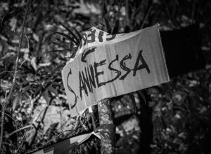 _dsc6921.jpeg
