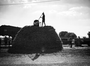 _dsc9136.jpeg