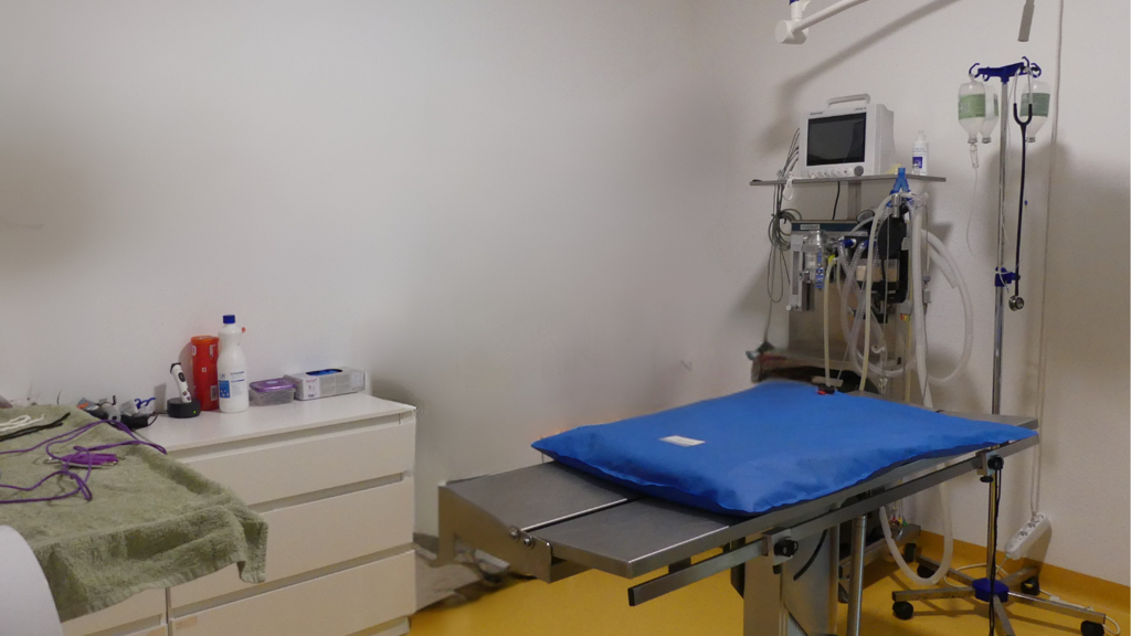 progetto senza titolo progetto senza titolo