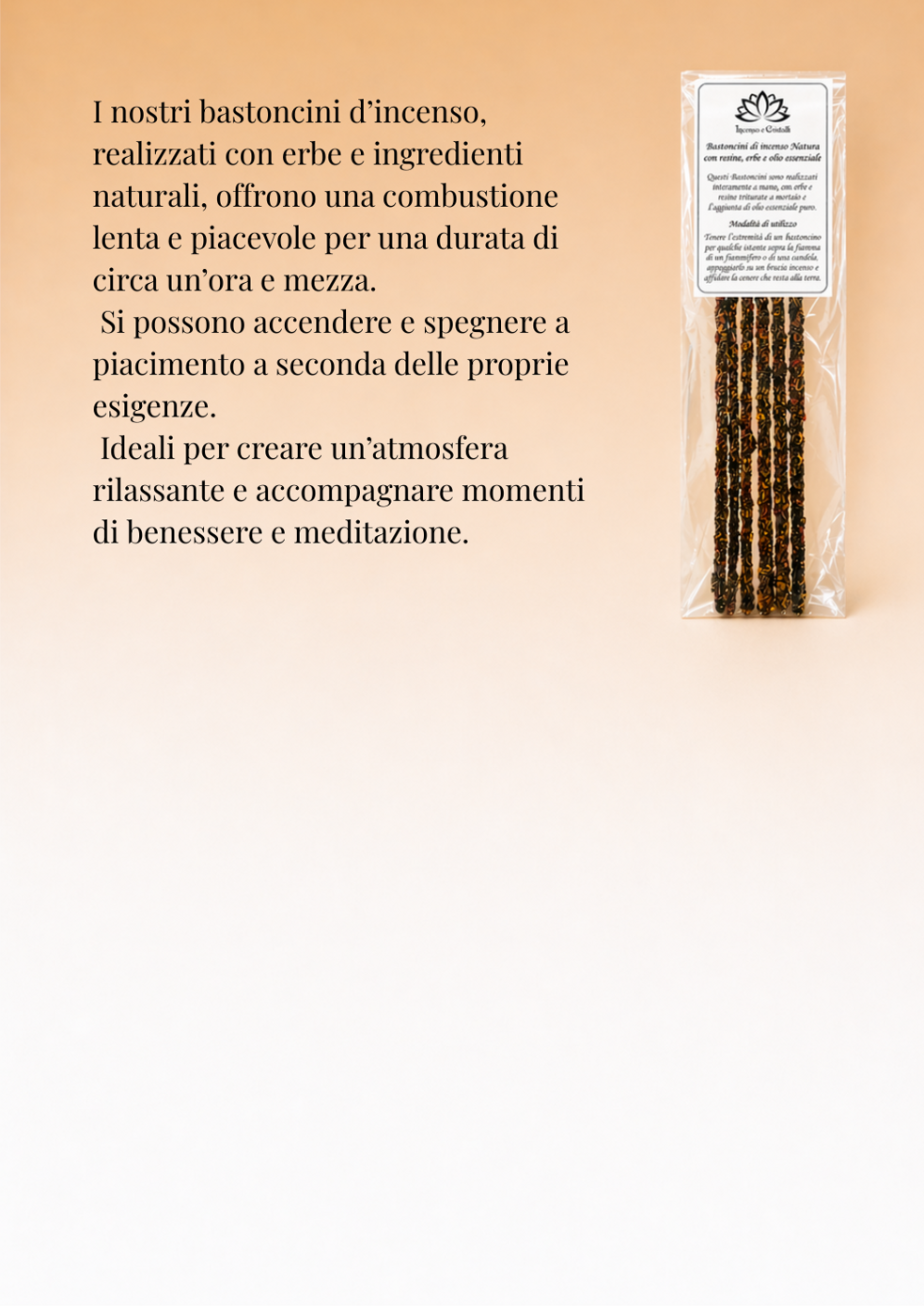 testo del paragrafo (3)