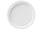 piatti-piani-in-polpa-22-cm-500-pz