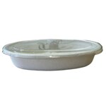 coperchio-in-pet-per-vaschetta-ovale-in-polpa-di-cellulosa-50-pezzi