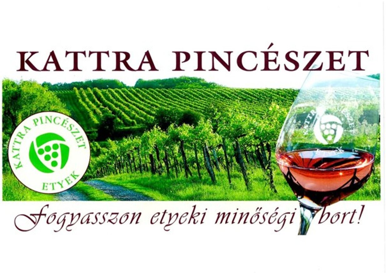 kattra pincÉszt.jpeg