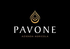 logo%20anna%20esempiio