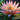 40822_7d67fb3996ab4507bc0fc1b3371c4882308f927c