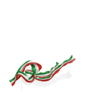 icona_p 2