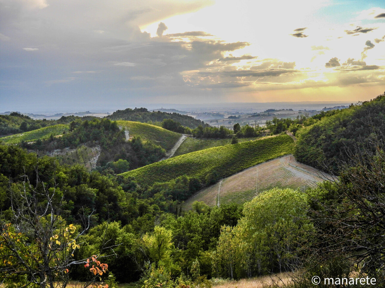 colline2.jpeg