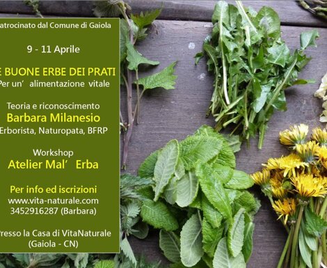 photo_2026-04-02_21-21-42.jpeg photo_2026-04-02_21-21-42.jpeg