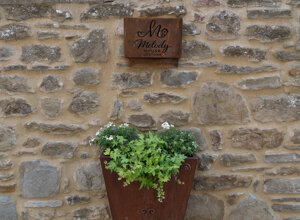 melody%20house-giardino34.jpeg melody%20house-giardino34.jpeg