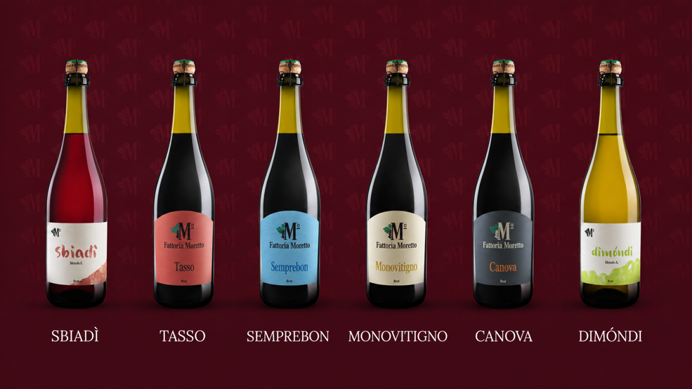 Fattoria Moretto - Vini lambruschi del territorio
