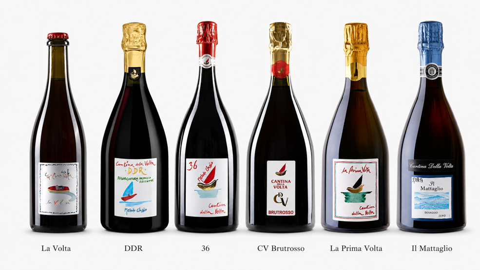 Cantina della volta - Brand di vini del territorio