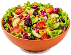 insalata_mista_in_insalatiera_arancione_trasparente