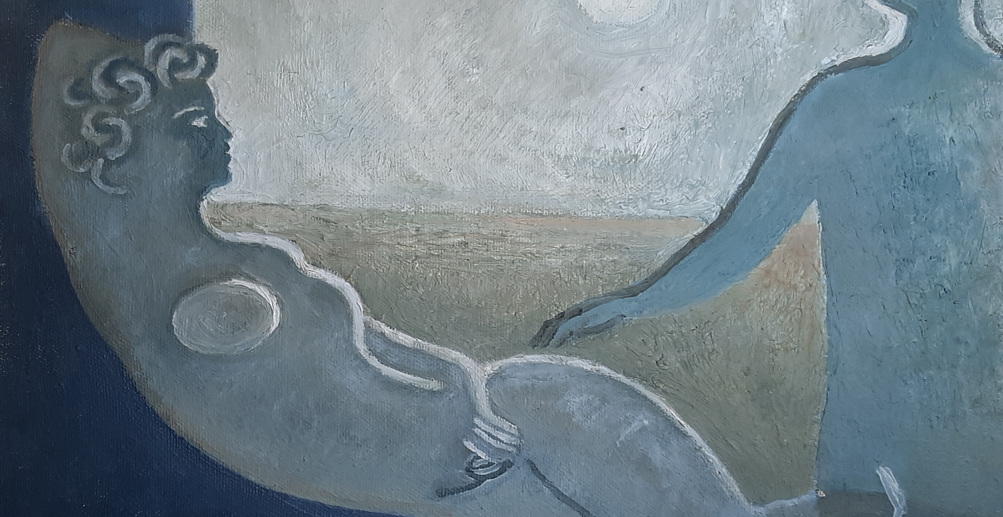 CI SONO, RICONOSCIMI