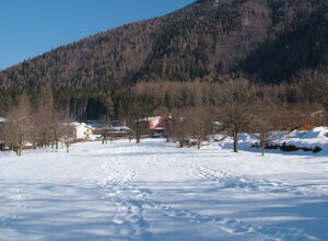 2006-01-09%2012-29-43.jpeg