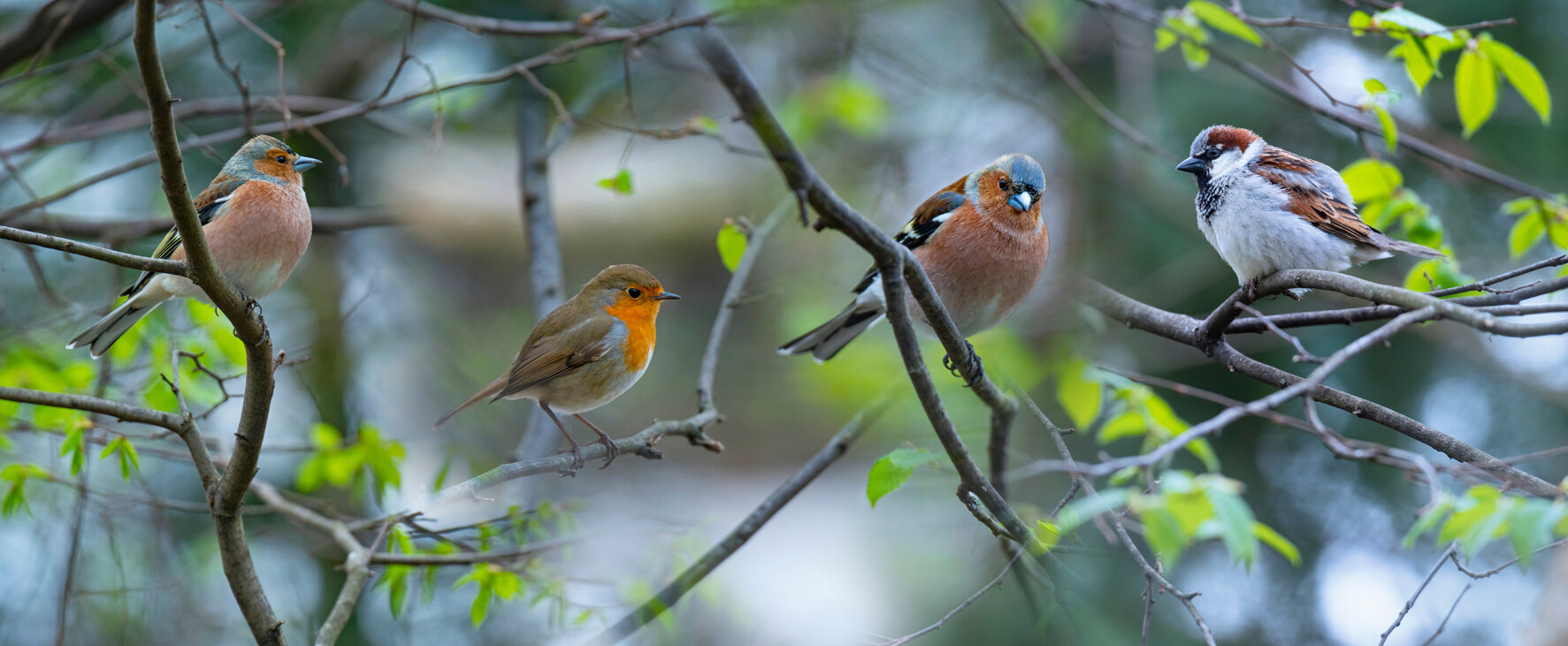 adobestock_261225045.jpeg