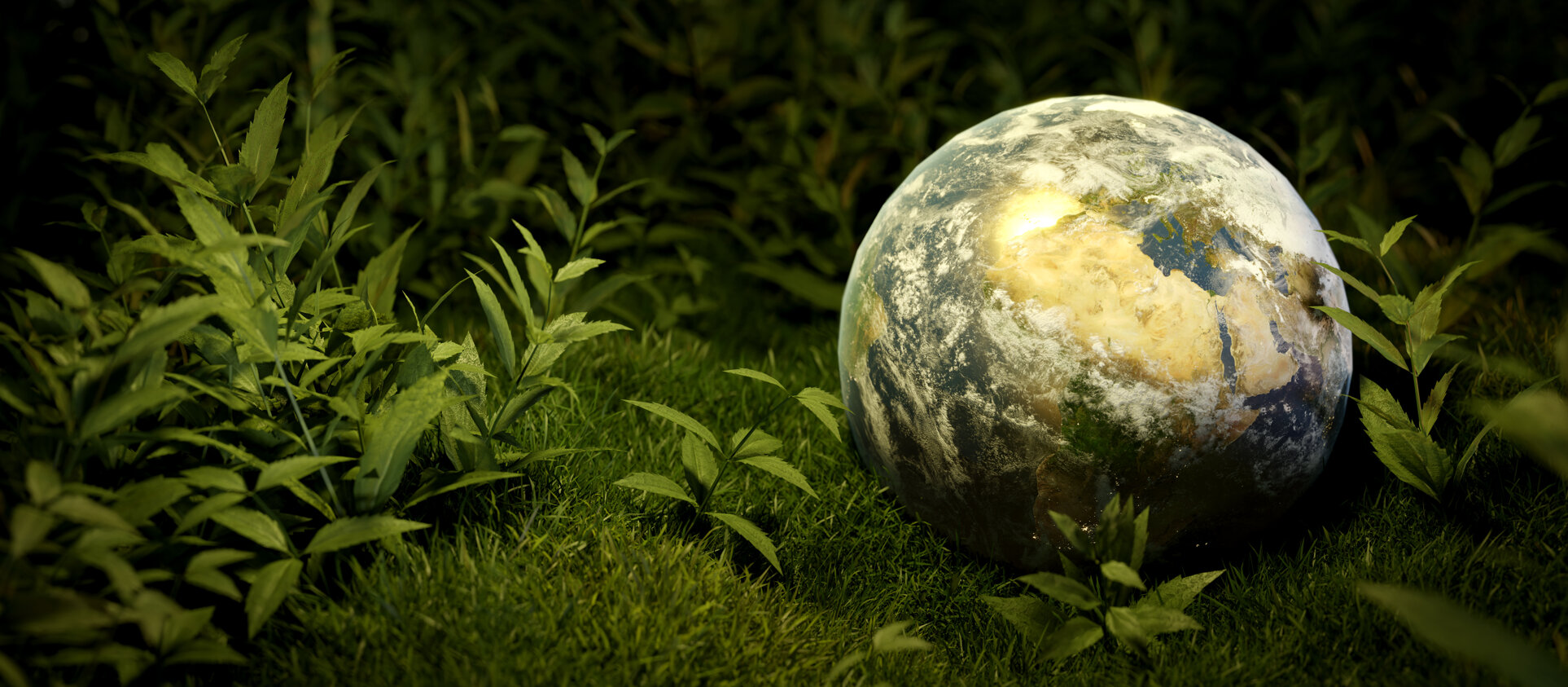 adobestock_501525422.jpeg