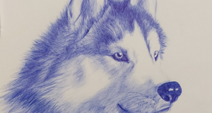 2013-06-14%2013.00.07