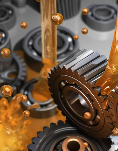 foto5.jpeg foto5.jpeg