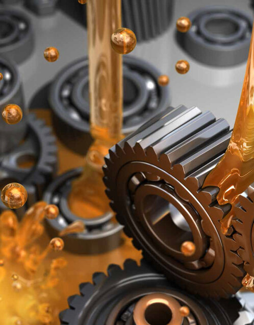 foto5.jpeg foto5.jpeg