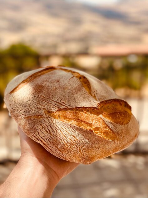 pane.jpeg