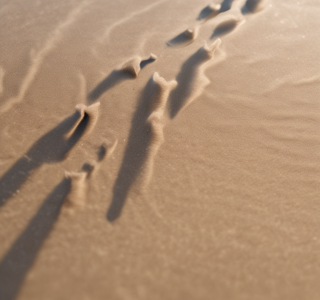 41017_8fbde34c4cd4ba12bd0e01b6e650bc7040b1b3a3