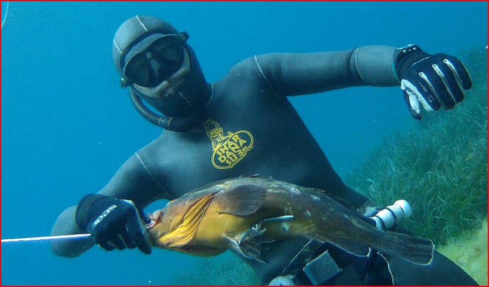 Pescatore subacqueo con cernia muta liscio spaccato neoprene Pescatore subacqueo con cernia muta liscio spaccato neoprene