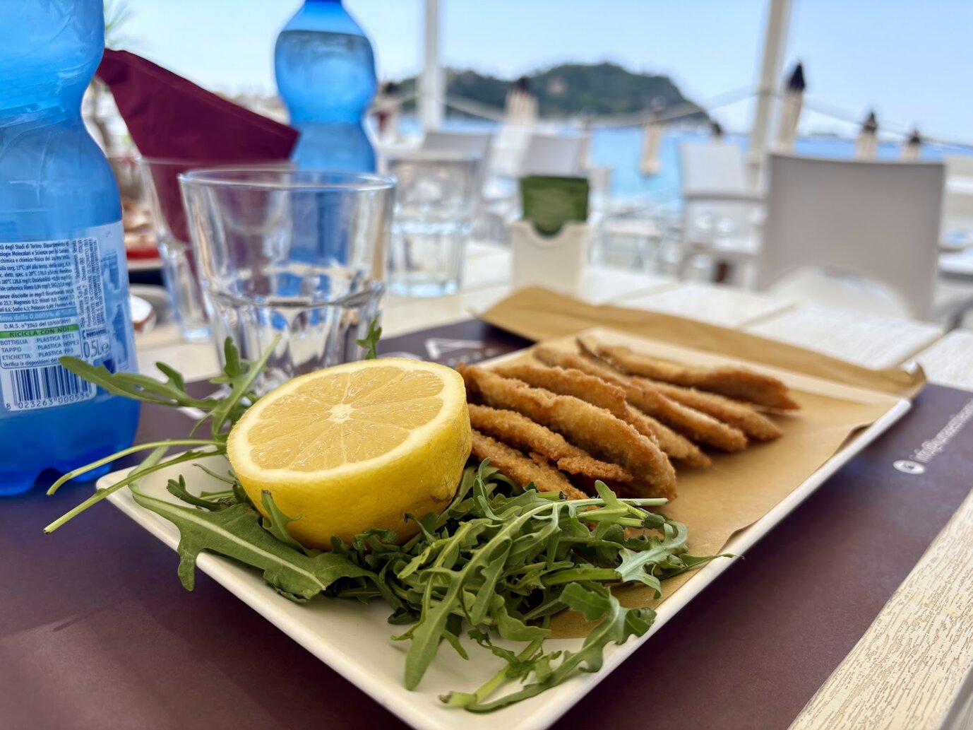 41039_0d9e827077f0f1c20041177a8a522bb1136ab06a