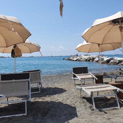 41039_8388f4abb6b85951df89bc3d59f8d7343e6d3ec8