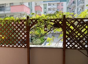 img_20260426_153723.jpeg