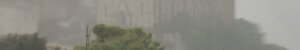 01571526-cb82-452c-a050-fcd4370a22f0.jpeg