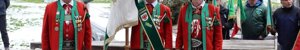 d15ebc63-be7a-45db-87dd-1057f6d3c535.jpeg