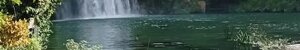 3bdab8f5-3f10-41b1-9ee1-95c59805ffc5.jpeg