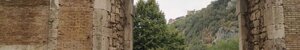 img_8126.jpeg