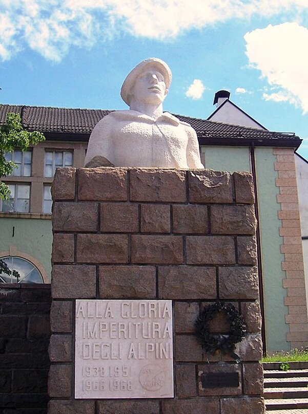 monumento_all'alpino_di_brunico.jpeg