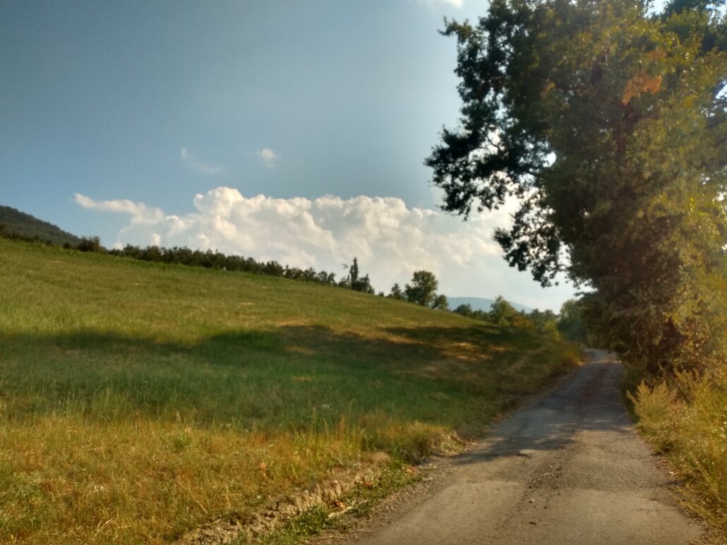 img_20230818_170316862_hdr.jpeg img_20230818_170316862_hdr.jpeg