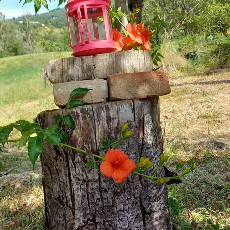 logo_ped spir_ritagliato_bianco