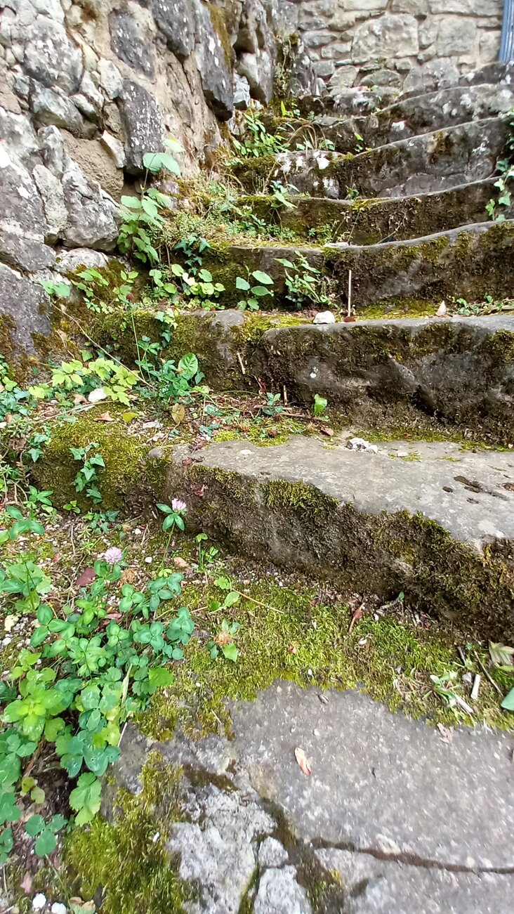 20240629_174537.jpeg