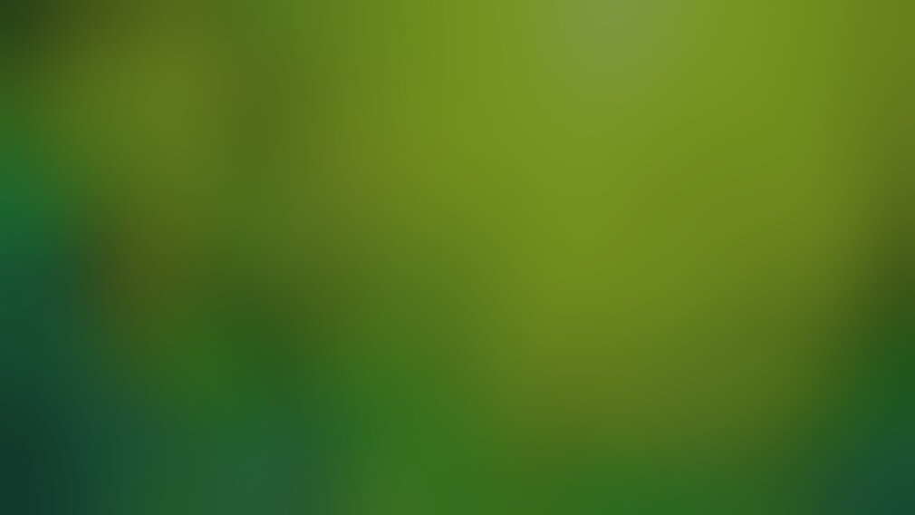 primavera.jpeg primavera.jpeg