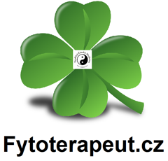 logo_new_iv2024