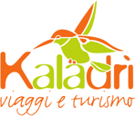 logo kaladrì bagliore1 logo kaladrì bagliore1