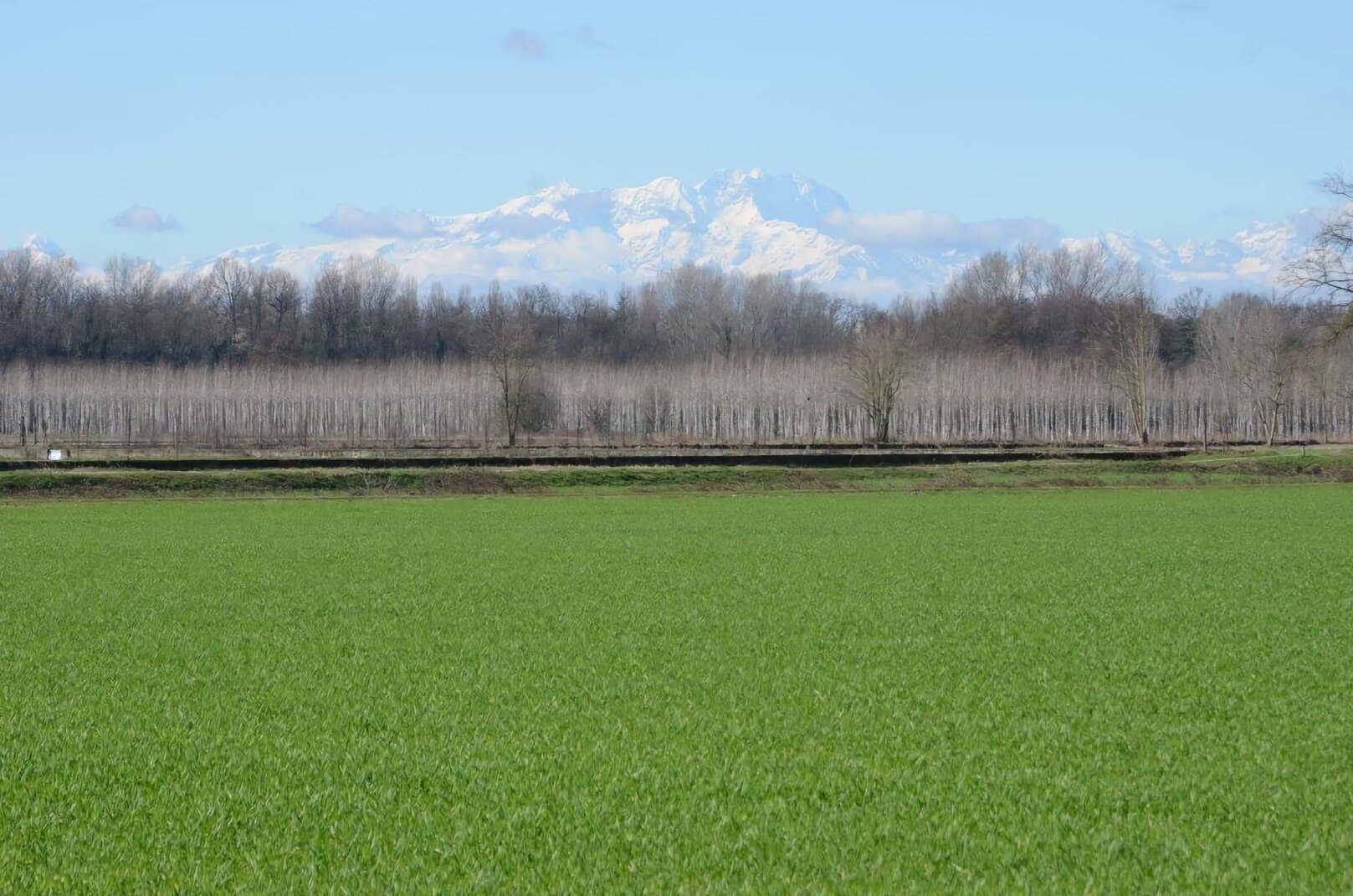 panorama cento pertiche.jpeg