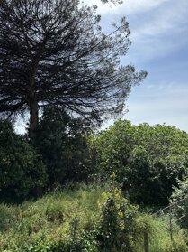 img_2931.jpeg