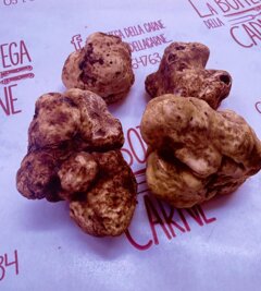 bottega della carne carpi tartufo