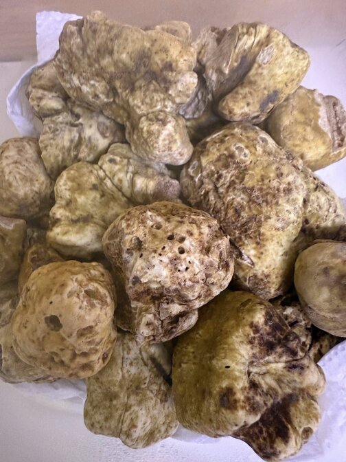 bottega della carne carpi tartufo