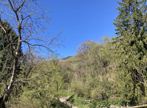 Sentiero fronte casa